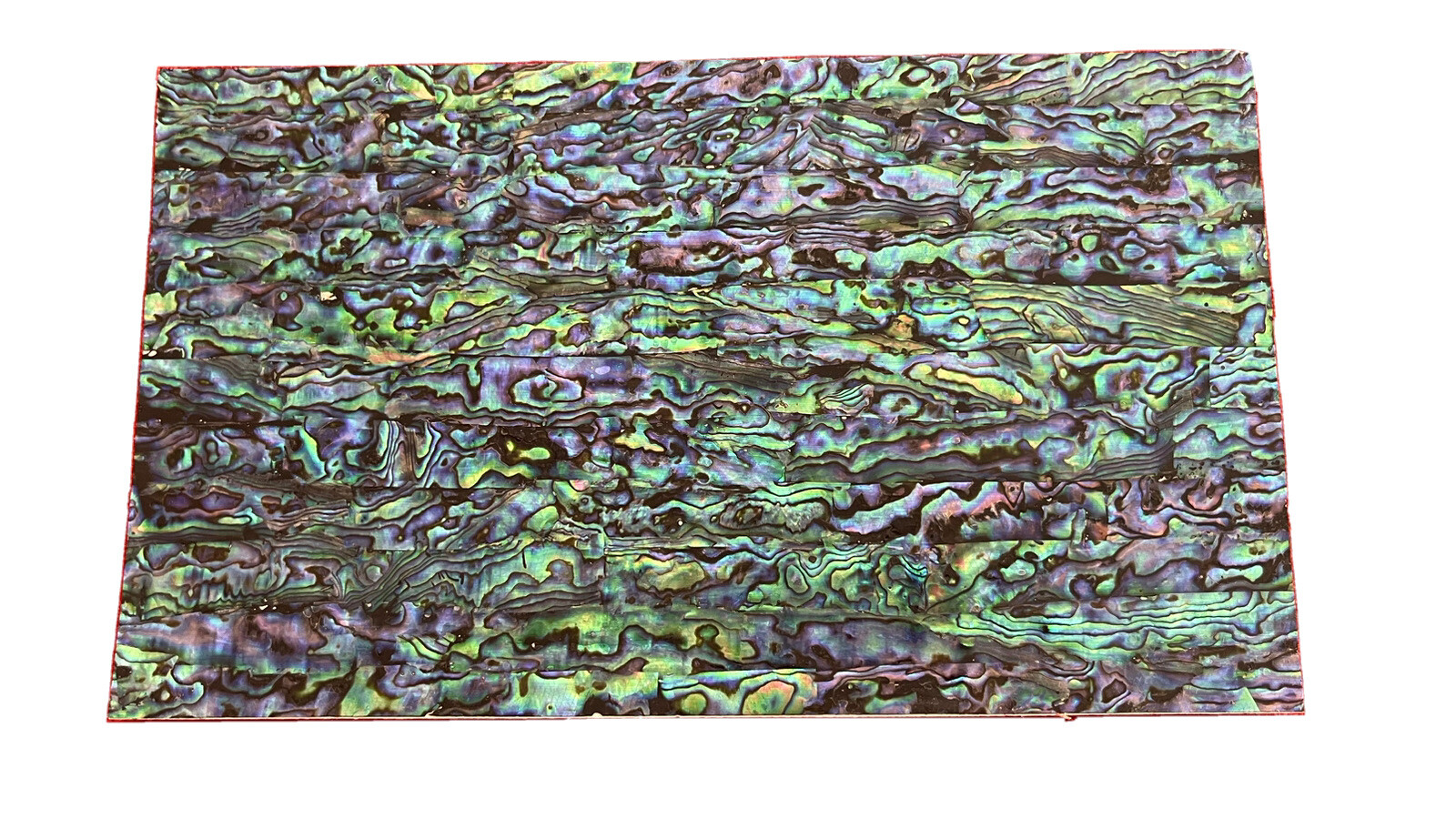 Blue Green AAA New Zealand Paua Abalone Sheet Flexible Veneer Adhesive Back