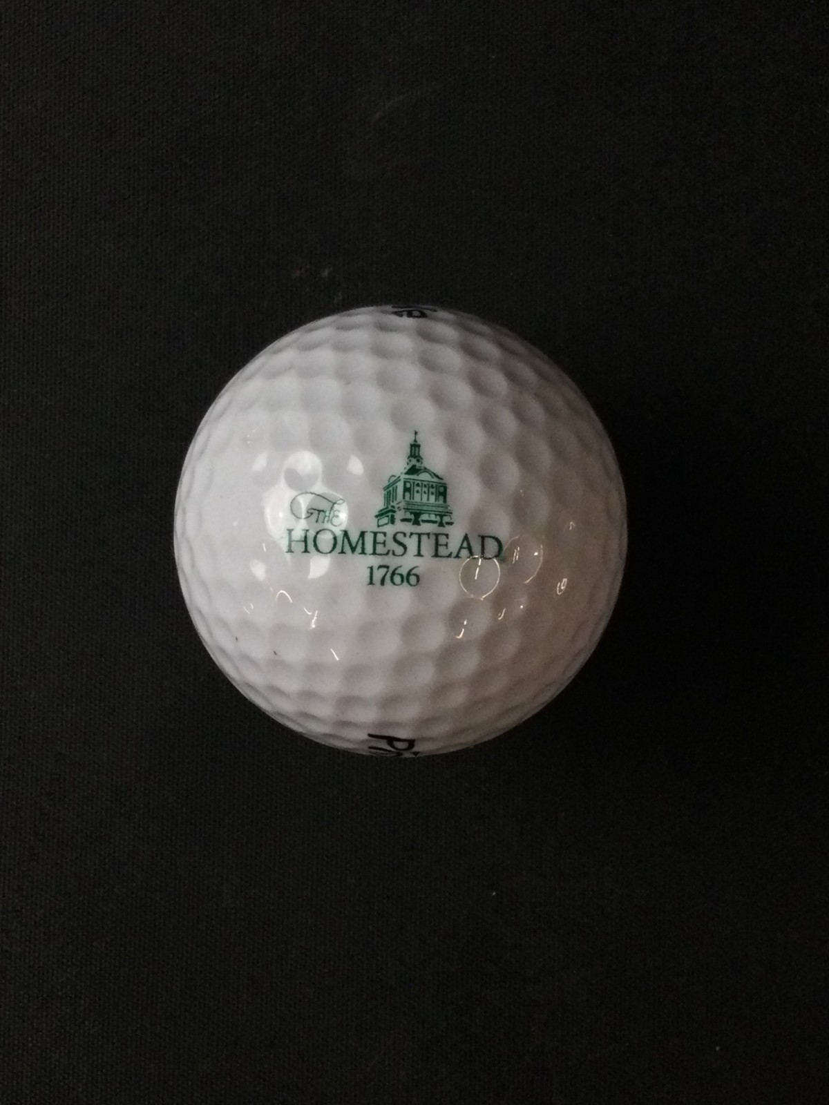 The Homestead 1766 Golf Resort Logo Hot Springs VA Collectible Golf Ball