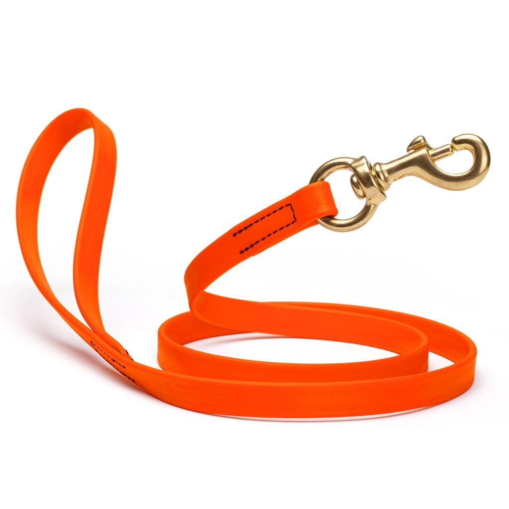 Dog Pet Leash with Brass Hardware W 5/8” L 6 FT Hunter Orange