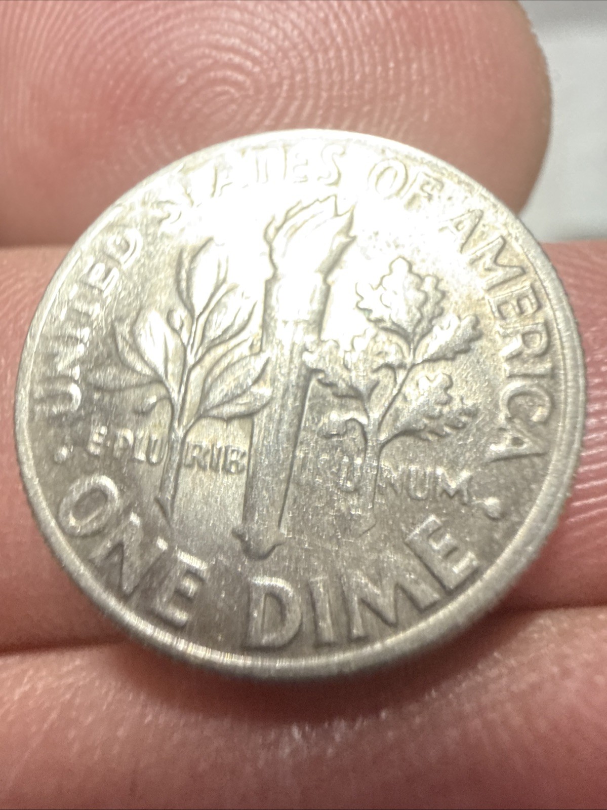 1980 Roosevelt Dime, DD, Missing Letters Reverse Error Coin