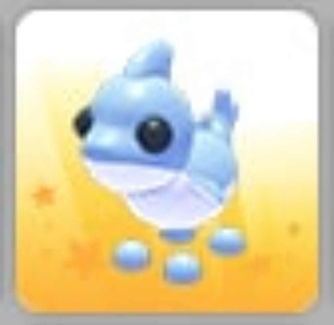 Shark Puppy | NFR | MFR | Adopt Now