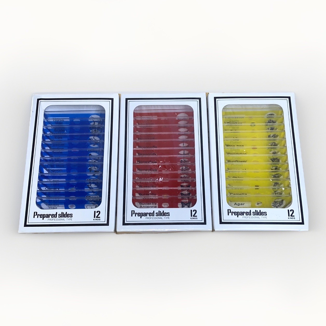 3 Packs of 12 Professional Type Prepared Slides Animal Hair, Insects, Plants 