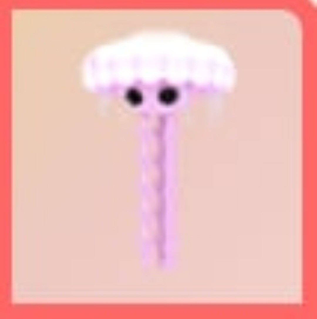 Jellyfish | NFR | Adopt Now