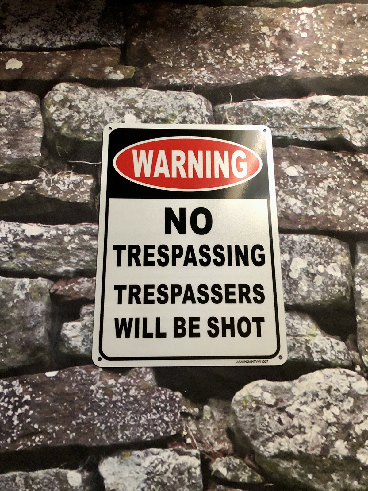 Aluminum No Trespassing Metal Sign 9x6 Home Protection No Loitering