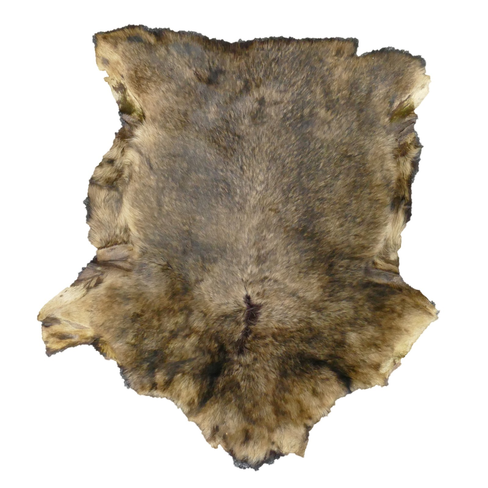 Glacier Wear Long-Hair Tuscan Lamb - Light Coyote Brown shp4056