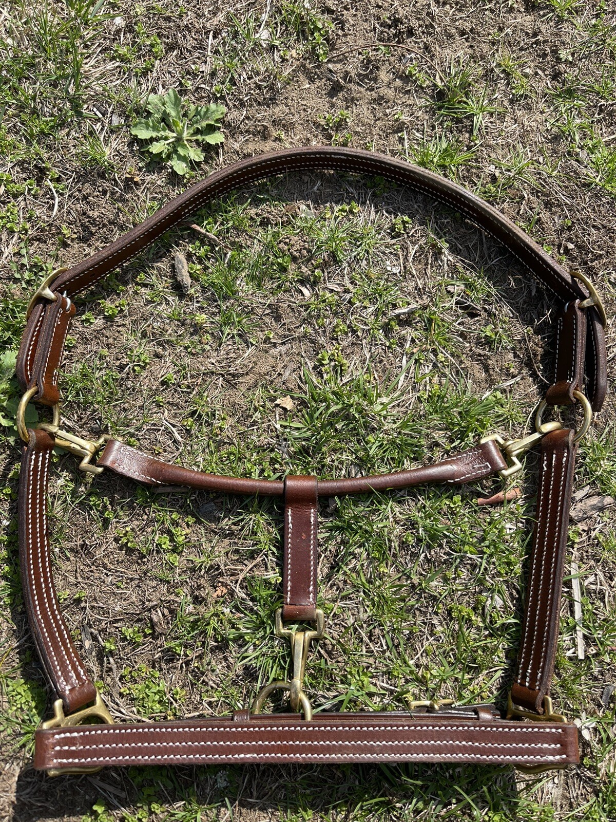 Leaders Leather Halter That Converts To Grooming Halter - Over Size