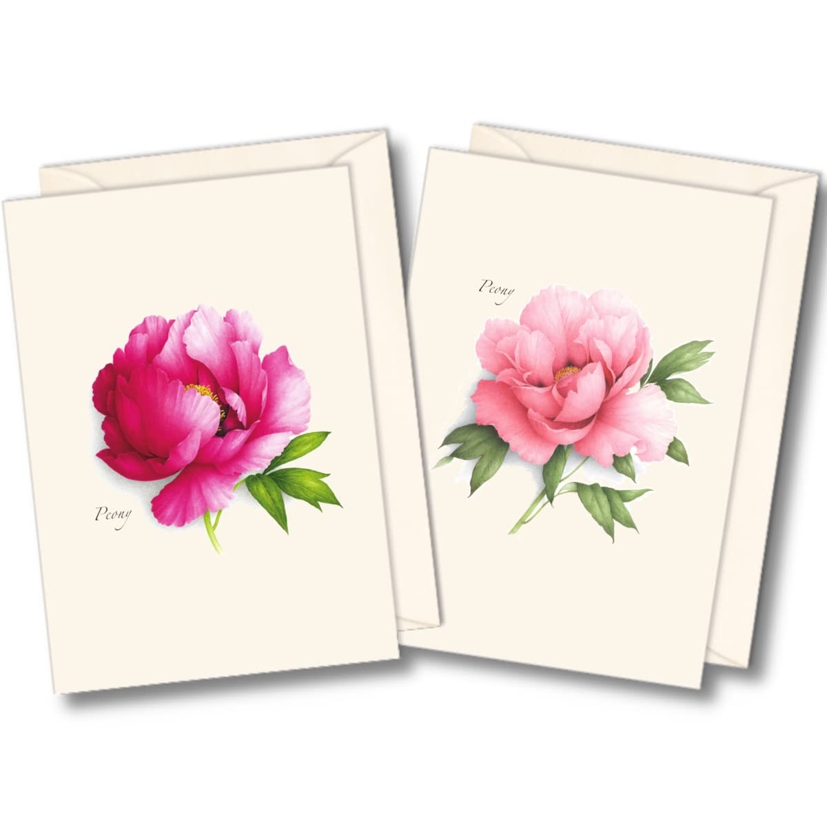 Earth Sky + Water - Peony Assortment Notecard Set - 8 Blank Cards with