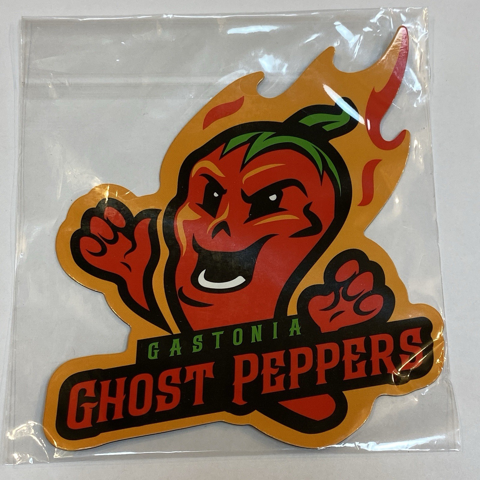 Gastonia Ghost Peppers ALPB minor league baseball North Carolina Logo Magnet