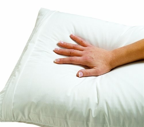 Allergen-Proof Pillow Cover - Dust Mite Resistant Microfiber Encasing, Standard