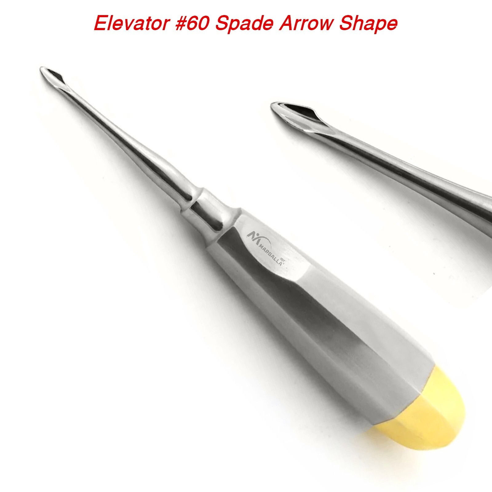 Dental Elevators Tooth Extraction Luxating Root Tip Implant Surgical Margalla CE