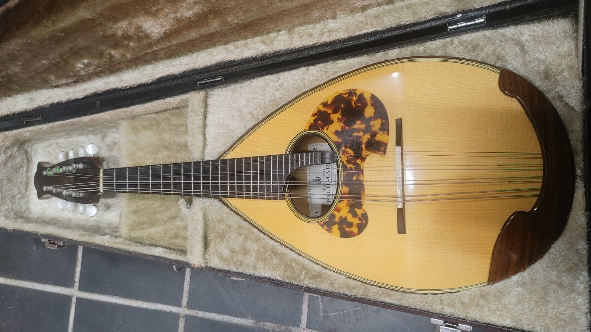 Mandolin ikegaku stringed instrument with case