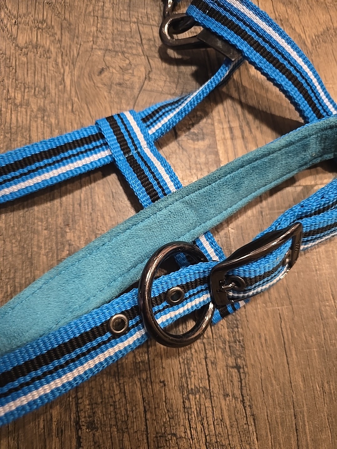 cob halter