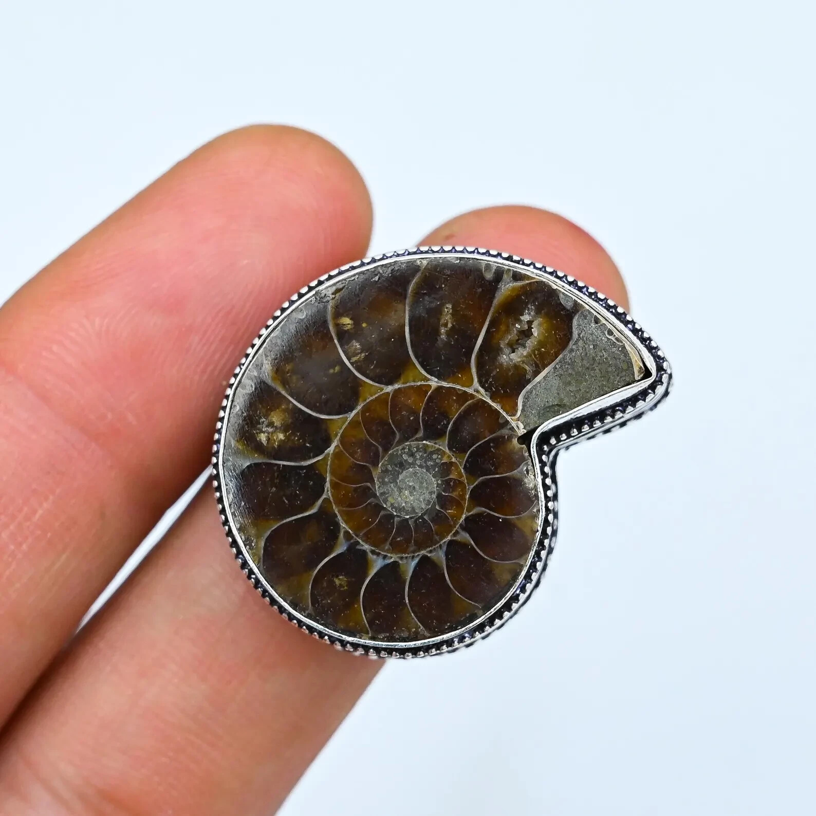 Natural Ammonite Fossil Ring 925 Sterling Silver Ring Gemstone Ring Women's Ring