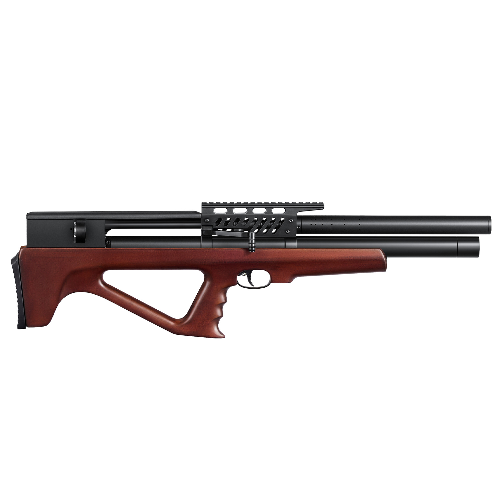 PINTY PCP Pellet Gun Air Rifle 9 Pellet 22 Caliber Air Gun with 800 fps Velocity