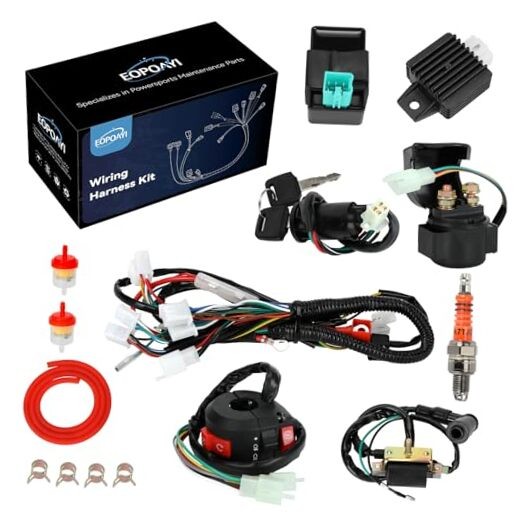Electric Wiring Harness Kit Compatible with Taotao Coolster 110cc 125cc