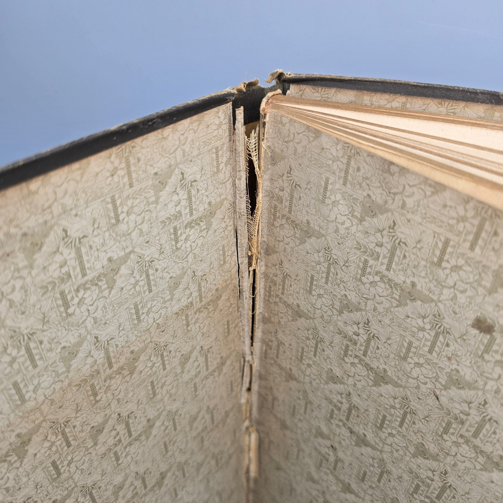 Book - "Some Modern Etchings" White Stokes & Allen 1884