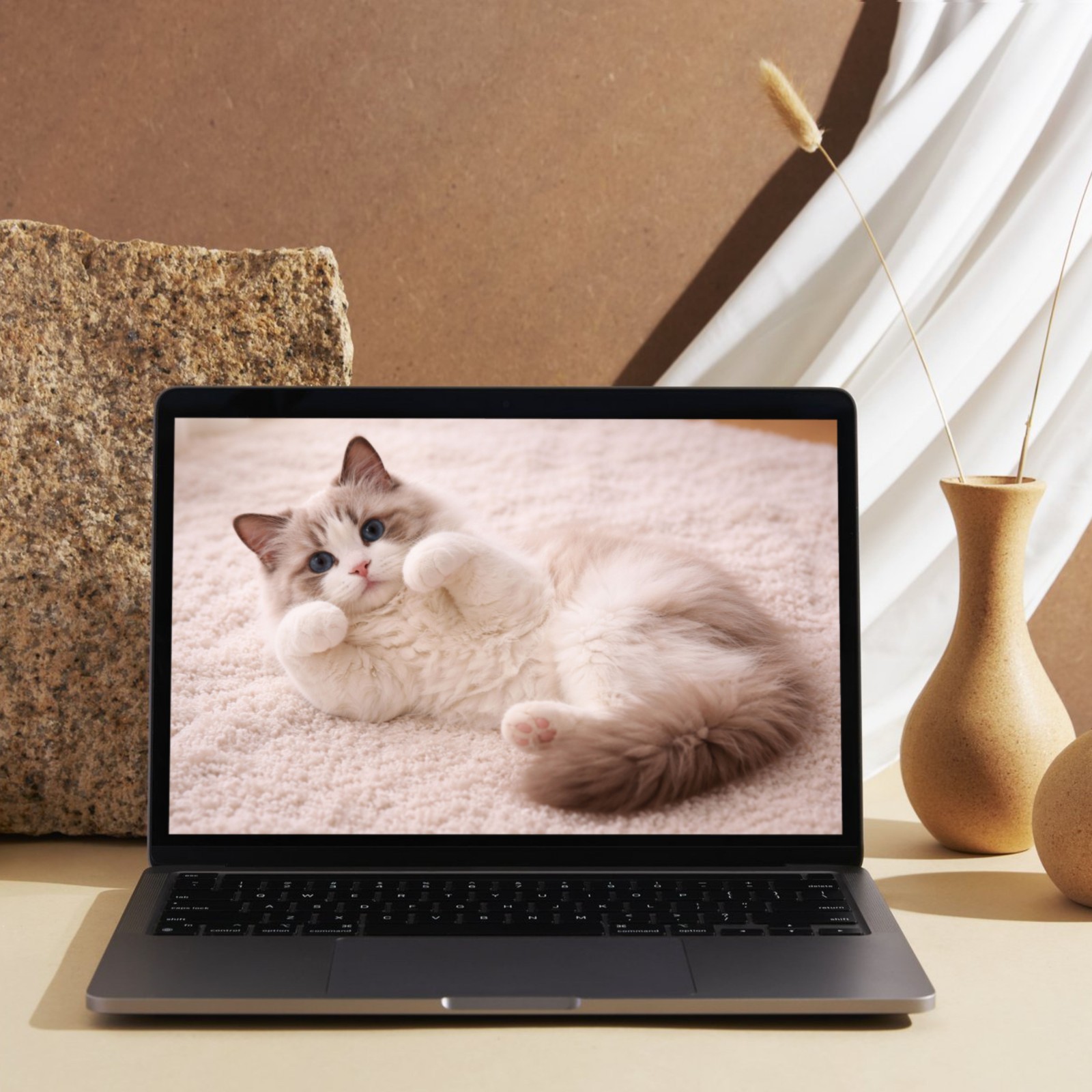 20 Cat Desktop Wallpapers Digital Download Cozy Computer Background Bundle