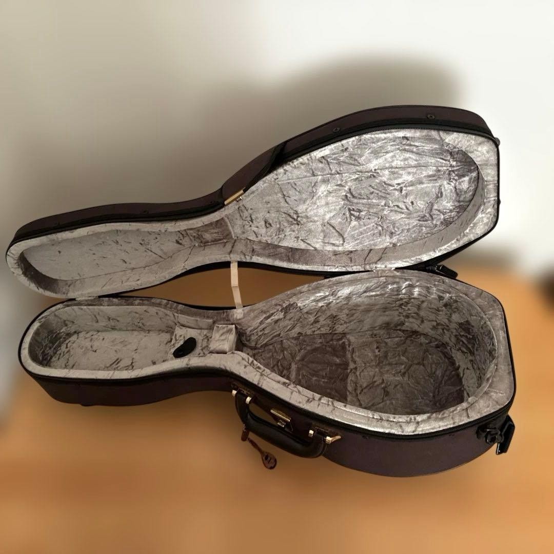 Noguchi Mandolin "SA Mandolin Napoli Type" Made in 2015 with case