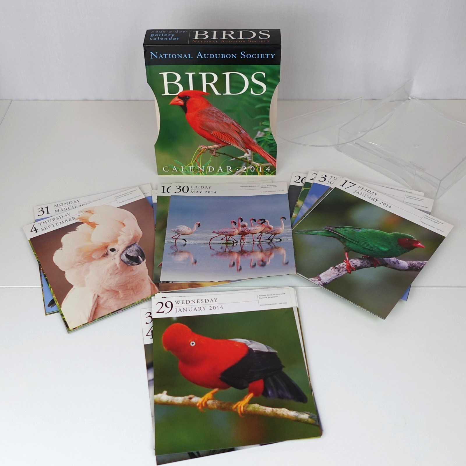 Bird Calendar Pages Lot Nature Photos Junk Journal Scrapbook Ephemera Paper Pack