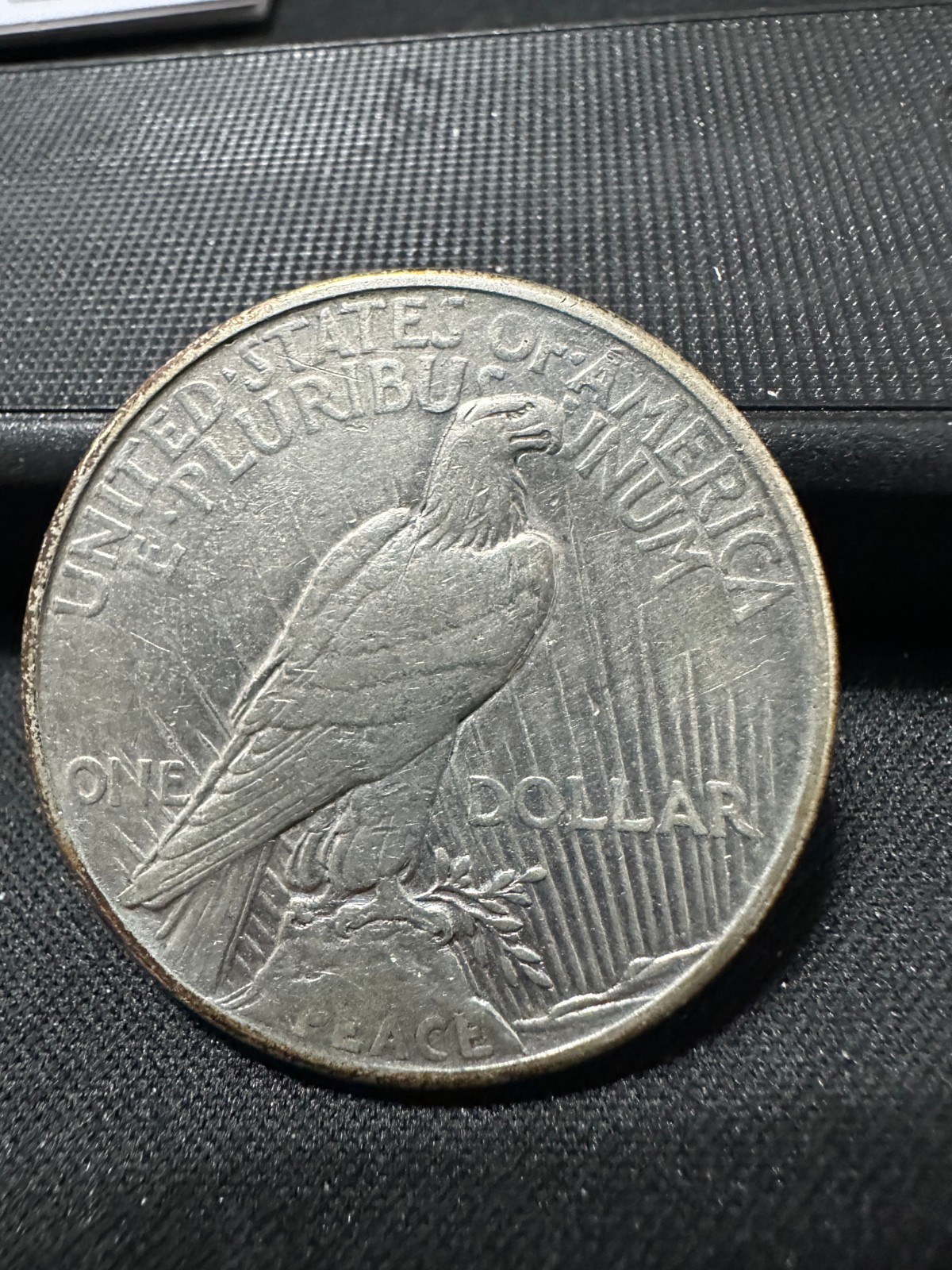 1921 peace dollar XF