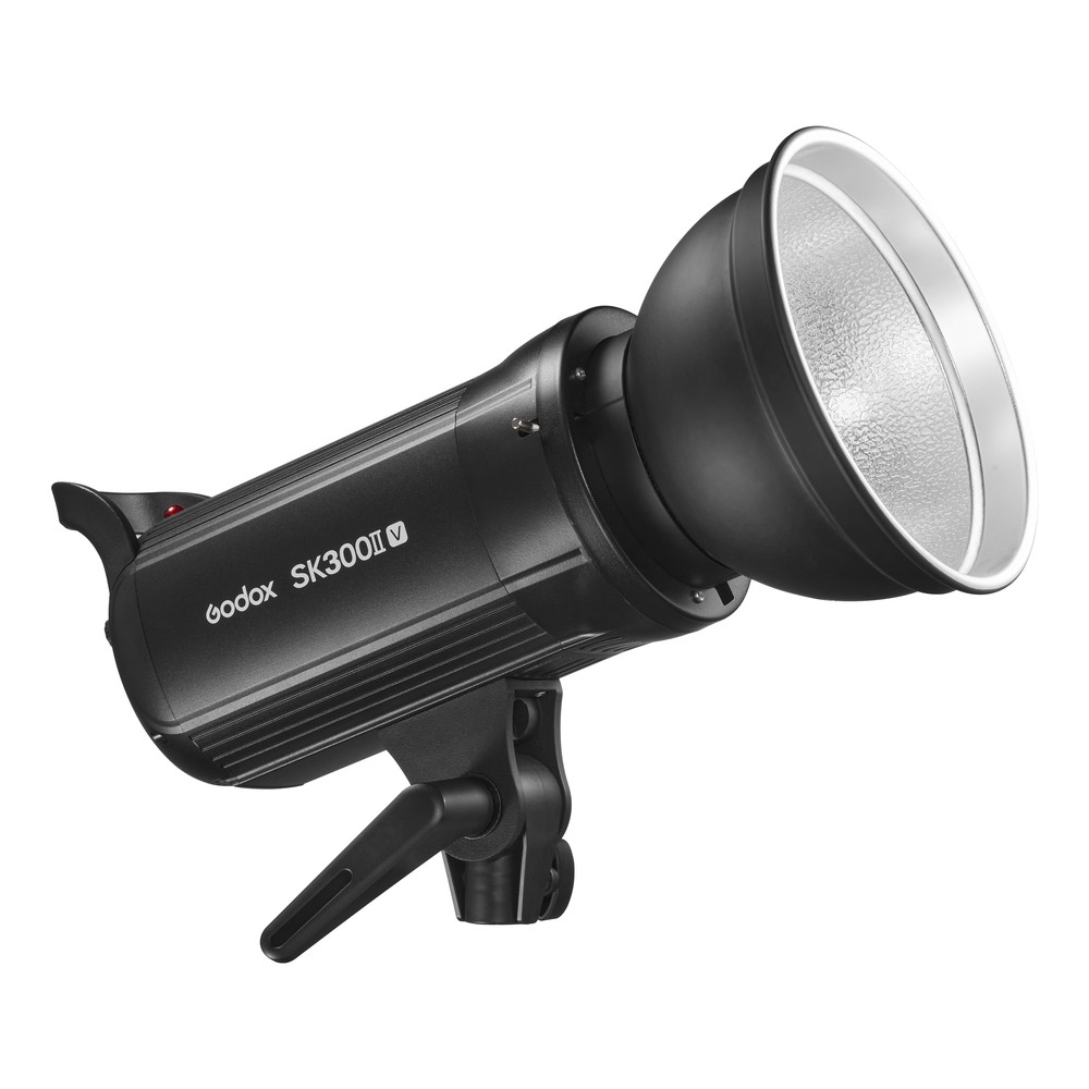 Godox SK300II-V Studio Strobe Flash with Reflector+60*90cm Grid Softbox+2M Stand