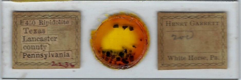 Ripidolite Petrographic Microscope Slide for Polariscope by Garrett