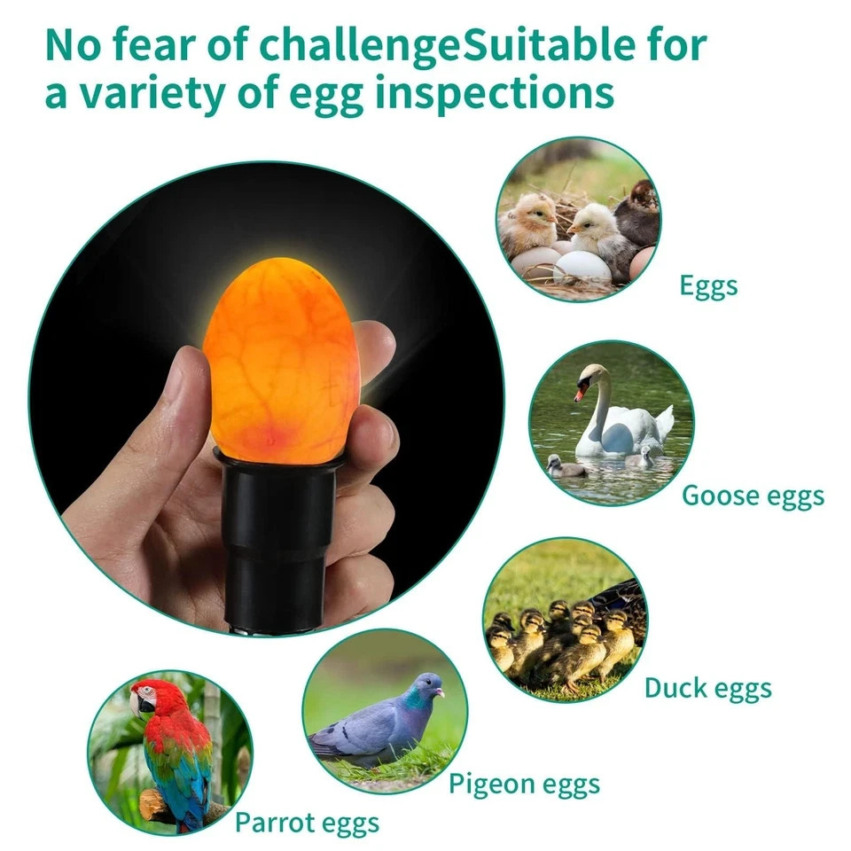 Egg Candler Light Tester High Intensity LED Egg Candling Tool Incubator Check