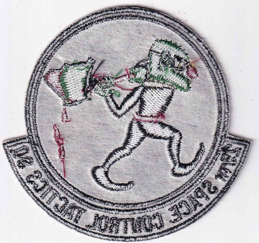 25th Space Control Tactics Squadron muted patch US Air Force USAF