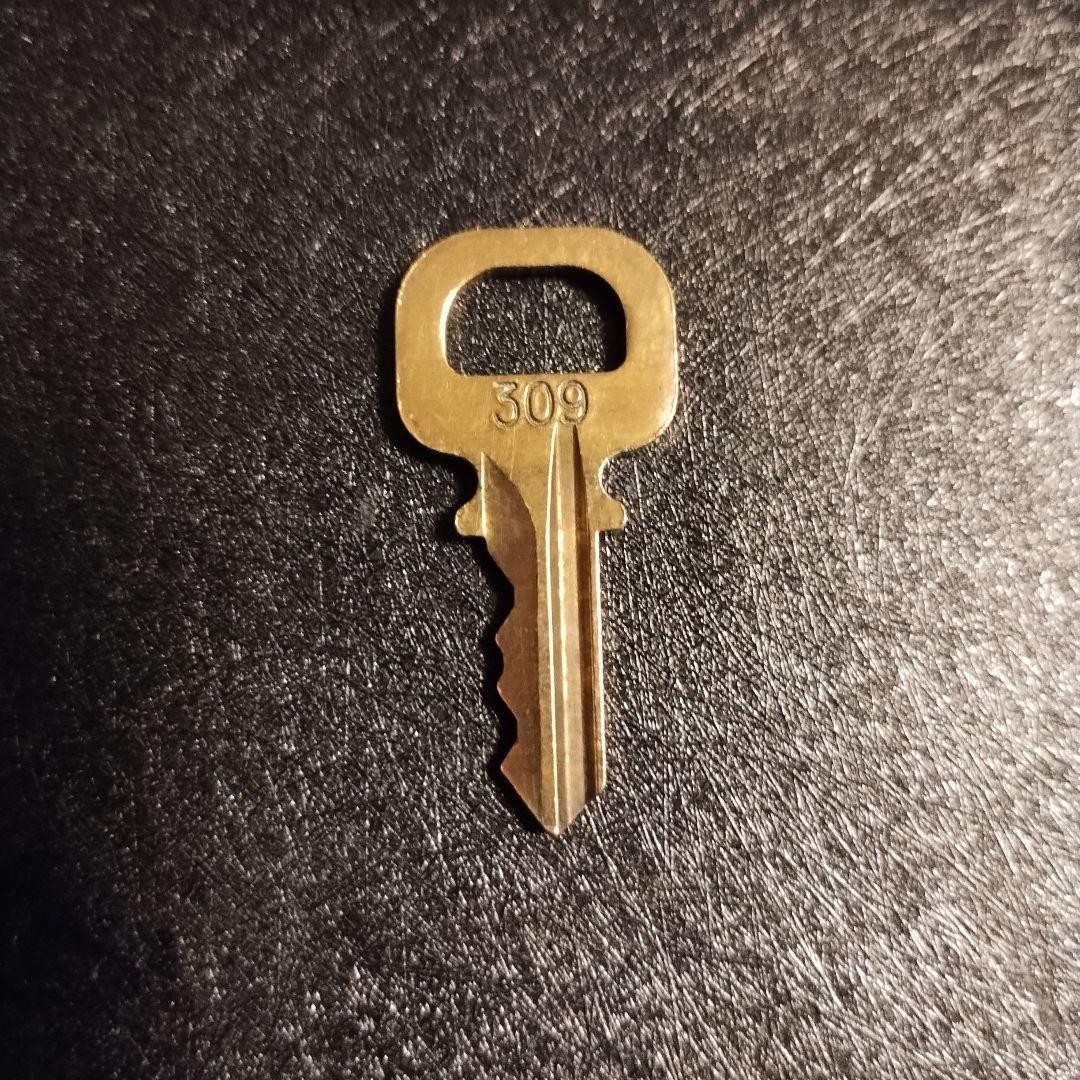 LOUIS VUITTON Cadena Key No.309 Single Key Only Gold Tone Metal Used