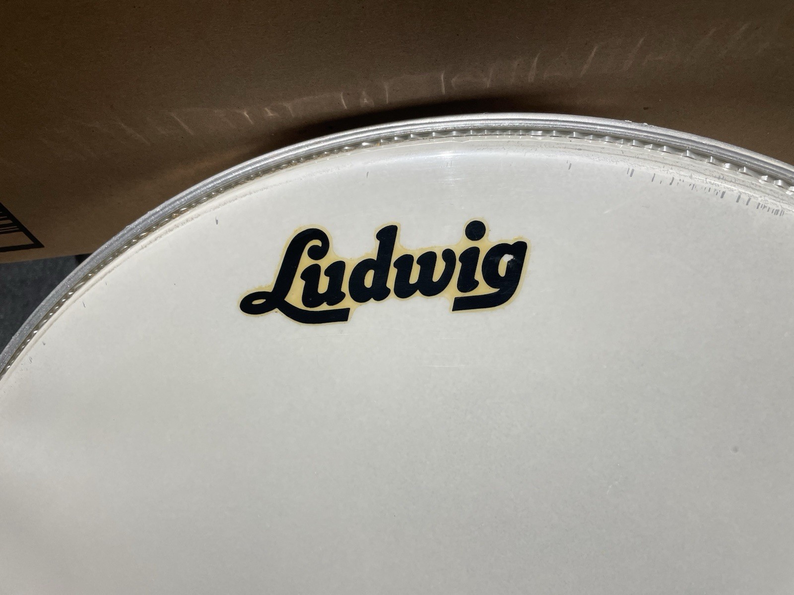 Ludwig 60s Vintage 20” Bass Drum Head Logo Resonant Drumhead Downbeat Clubdate