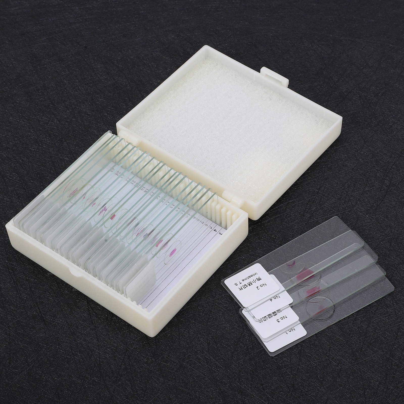 25Pcs Animal Slides Microscope Sample Slides For Science Education Popular