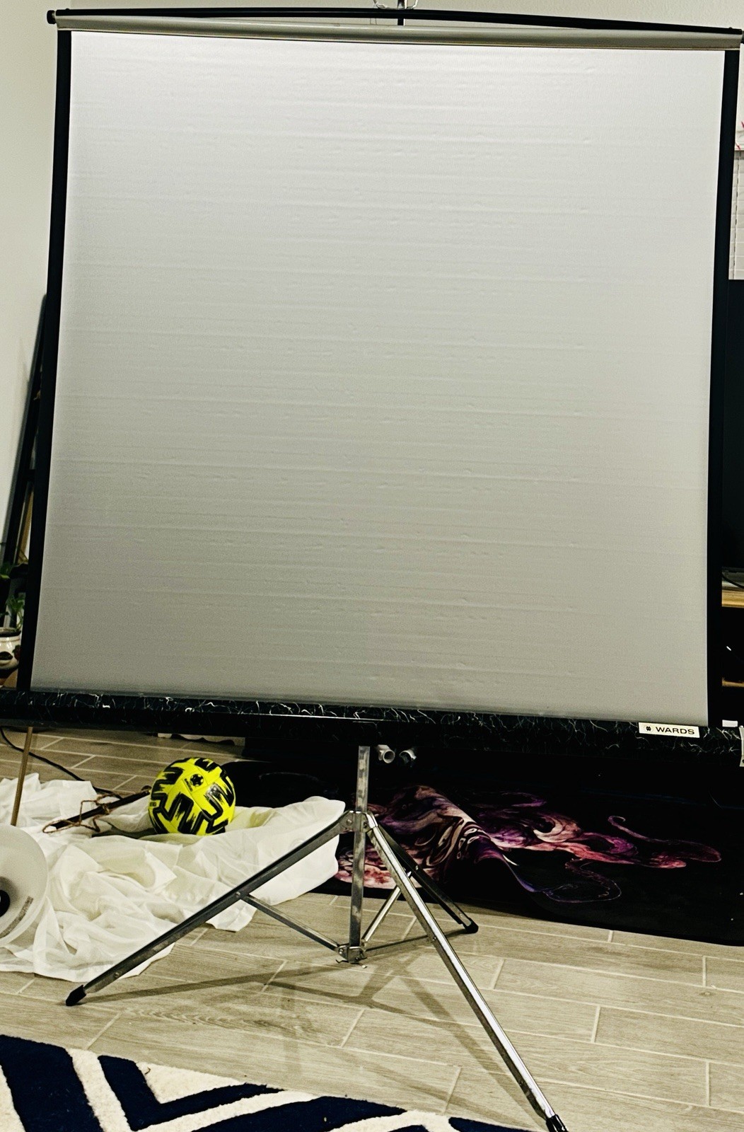 Wards Portable Projector Screen with Tripod Stand