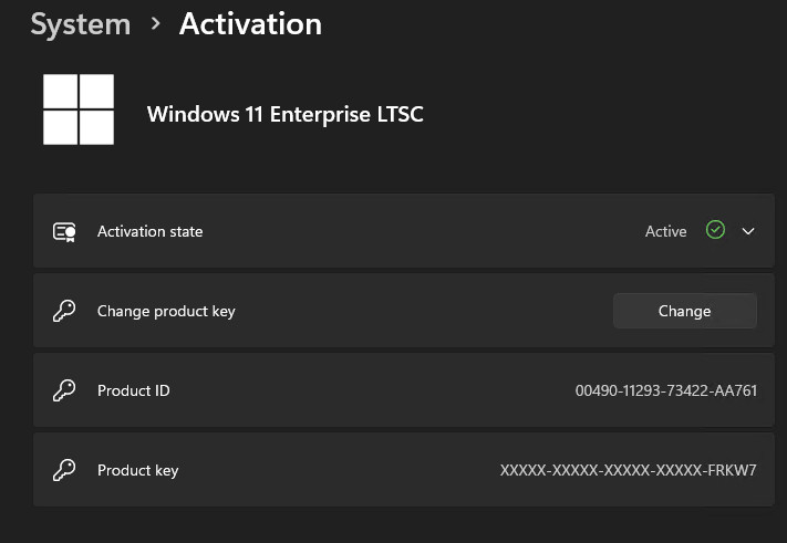 Microsoft Windows 11 Enterprise LTSC 2024 USB Flash Drive for multiple devices