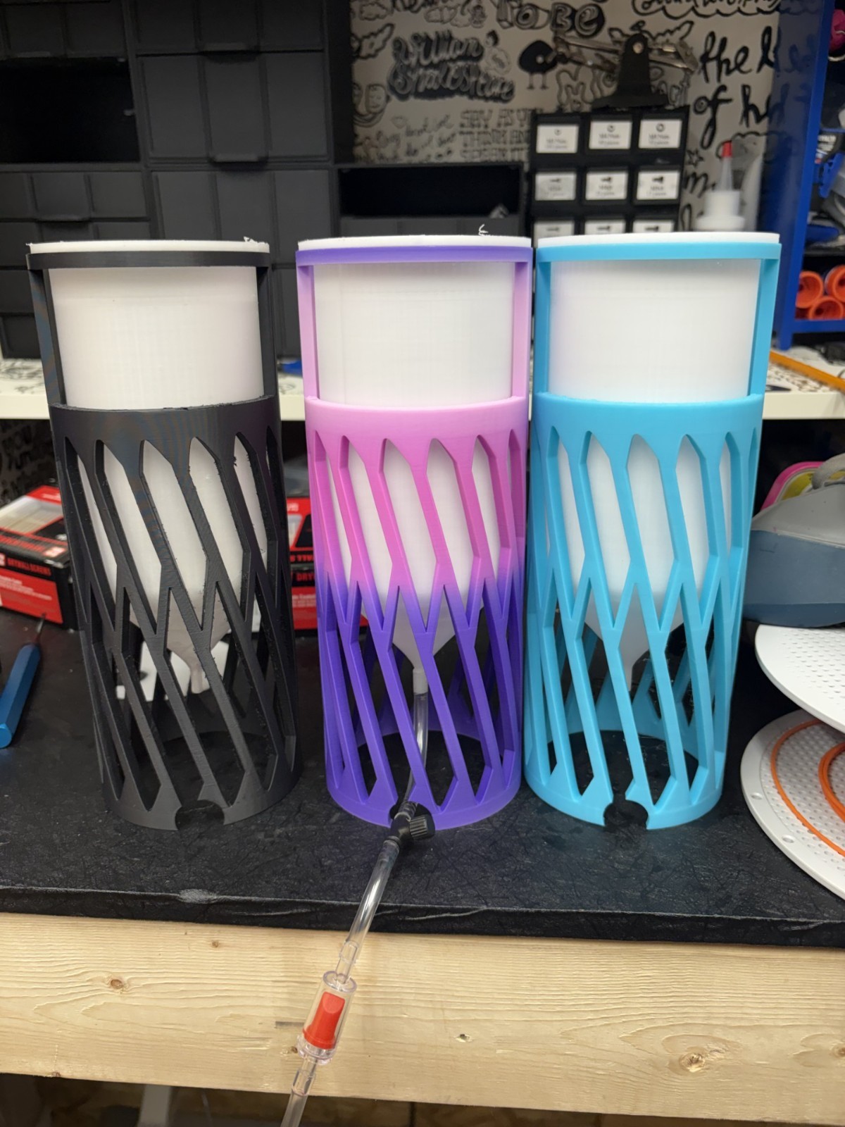 brine shrimp hatchery kit Modular