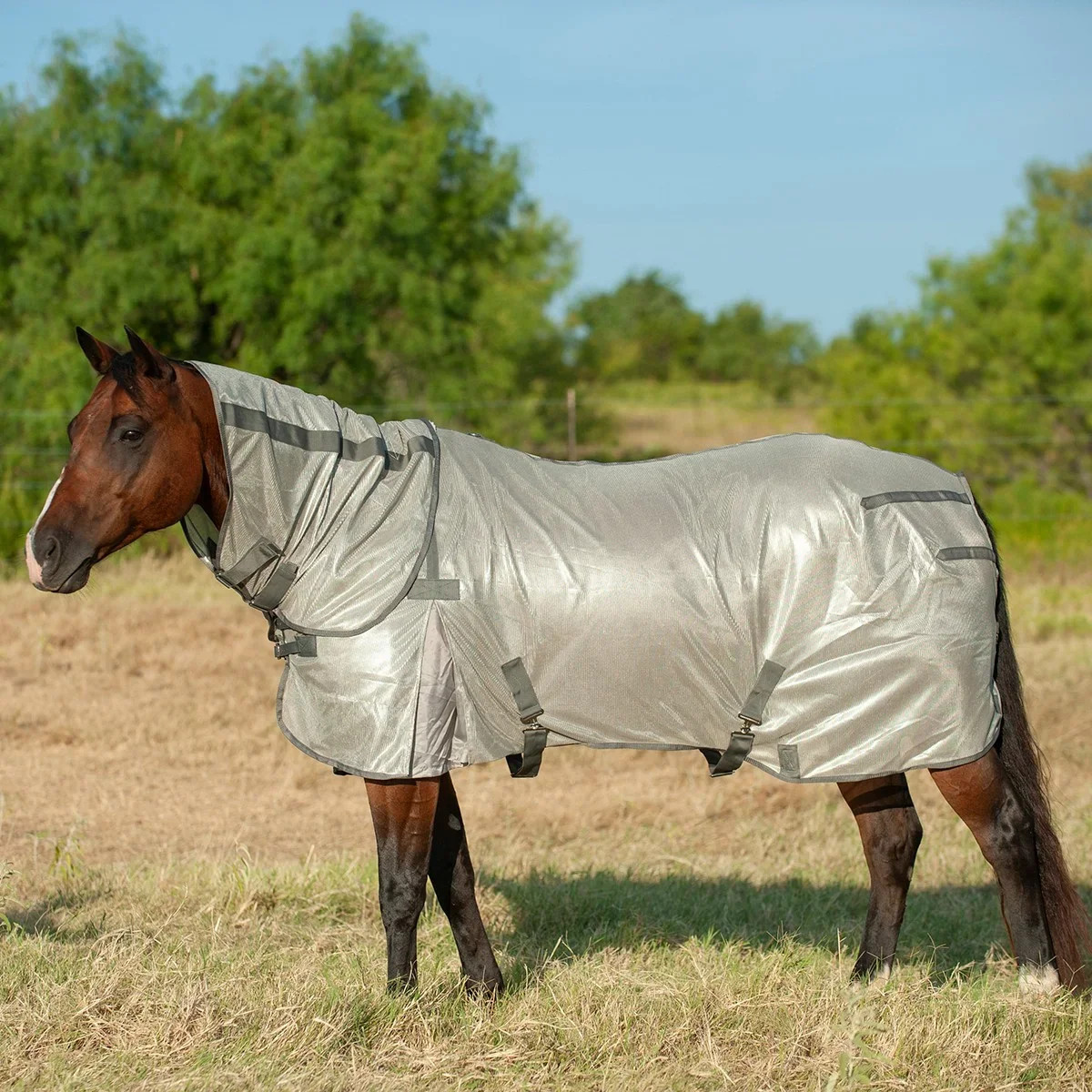 Cashel Econo Fly Sheet with Neck Guard - Breathable Mesh for Insect & UV