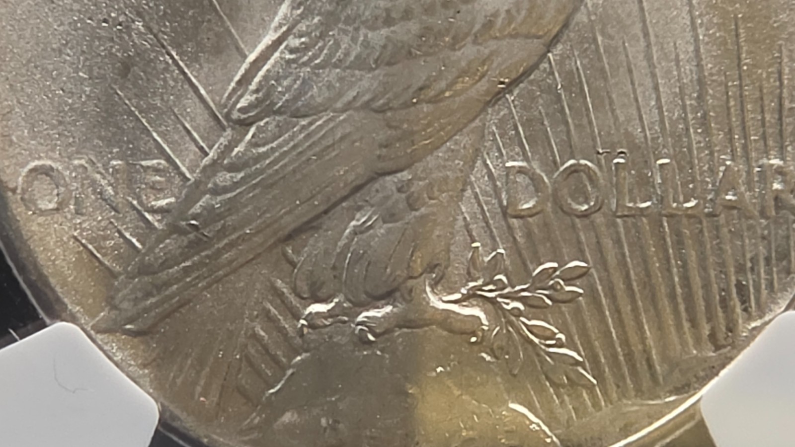 1925 Peace Dollar NGC MS64 – Bright White Luster, Clean Fields, Certified