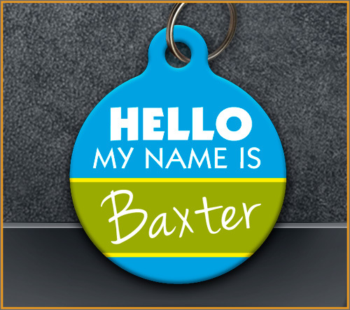 Hello My Name is - Pet ID Tag - Custom - Personalized