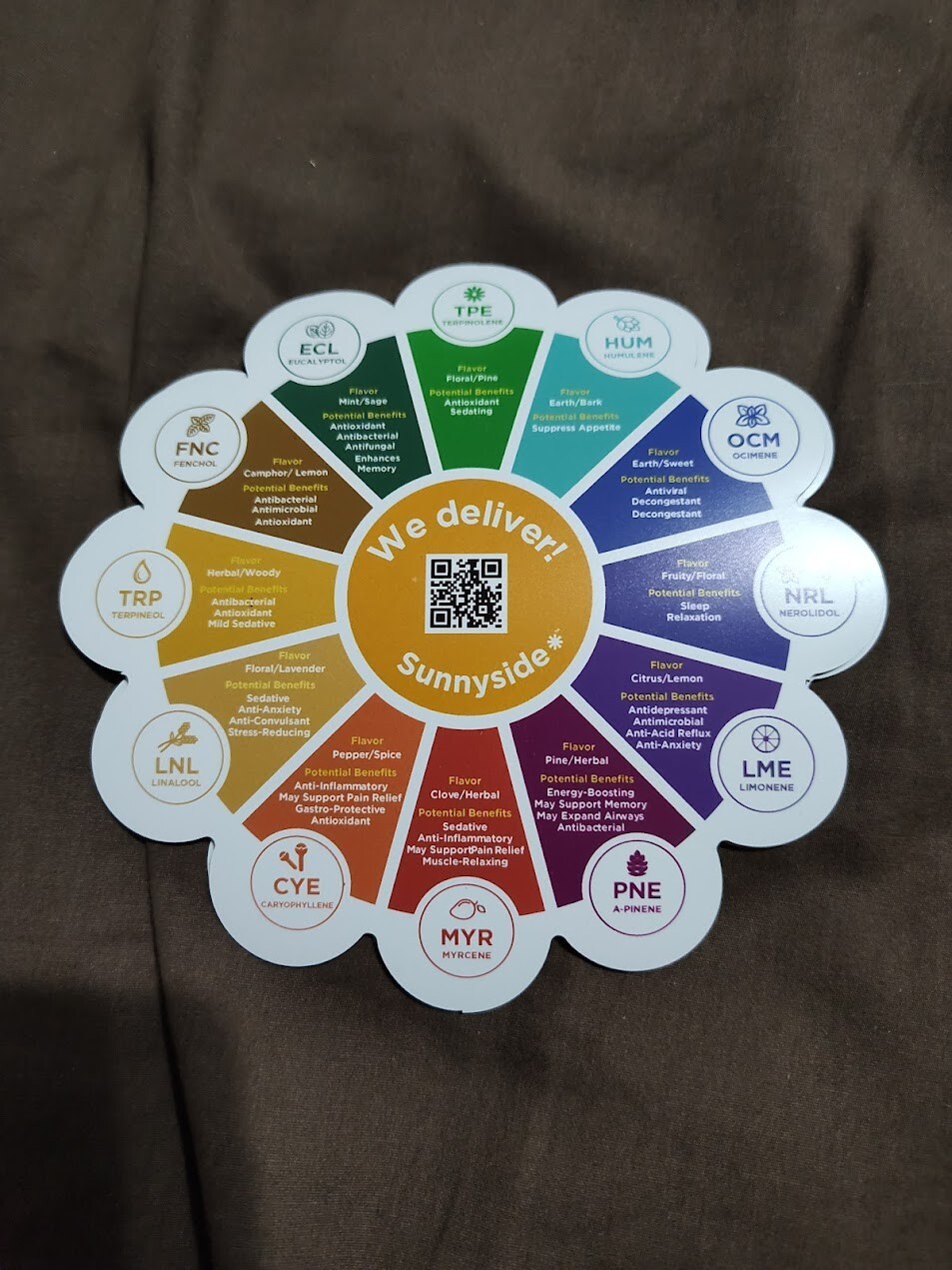 Sunnyside - Florida Medical Dispensary - Promo Magnet 5" - *SUPER RARE*