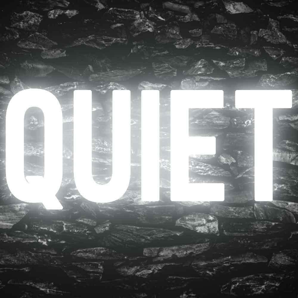 Quiet Please Office Decor Display Flexible Custom Neon Sign