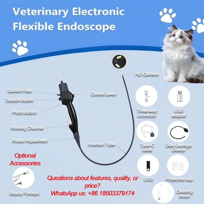 Disposable USB Flexible HD Veterinary Endoscope for Pet Diagnosis and Treatment