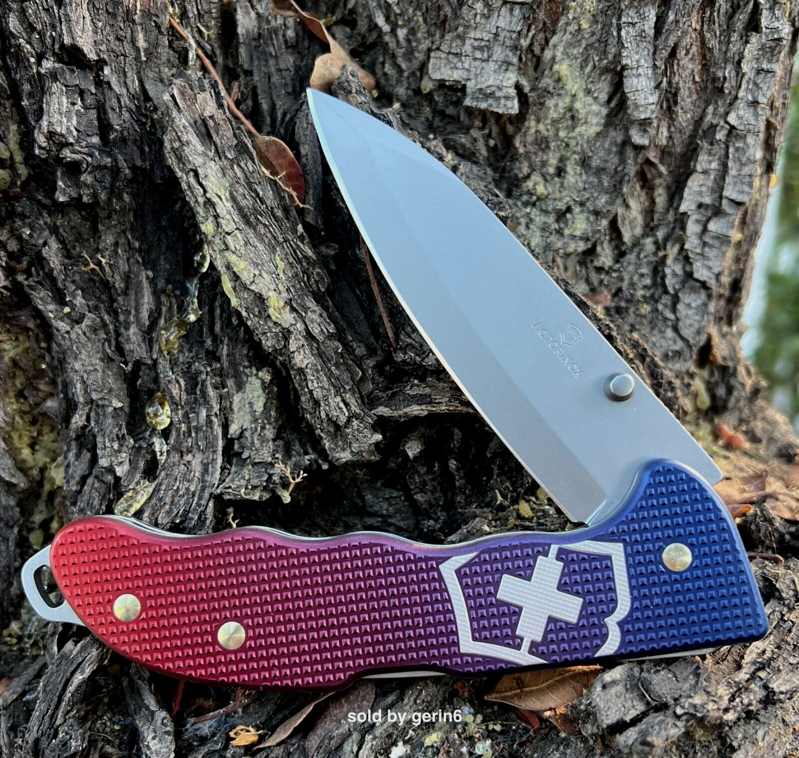 Swiss Army Knife Evoke Hunter Pro Alox Blue / Red Victorinox, 0.9415.D221, NIB