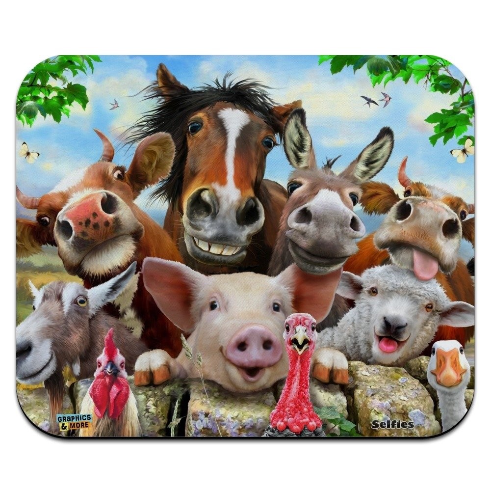 Farm Selfie Horse Pig Chicken Donkey Cow 7.8L x 9.3W inches, Multi-colored