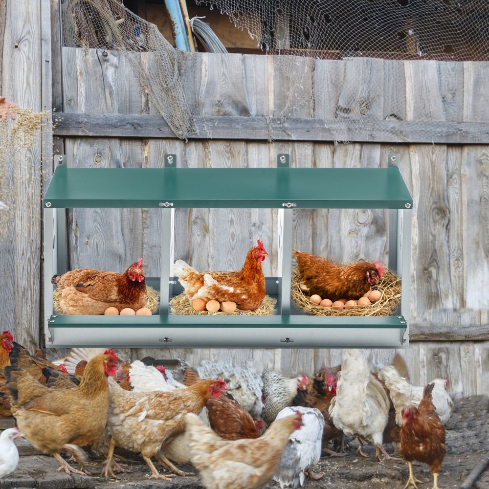 Metal Nesting Boxes 3 Compartment Nesting Box Galvanized steel Nesting Boxes