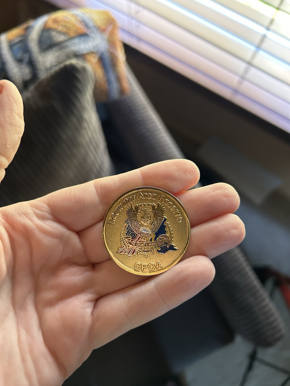 19 US Navy Metal Collection