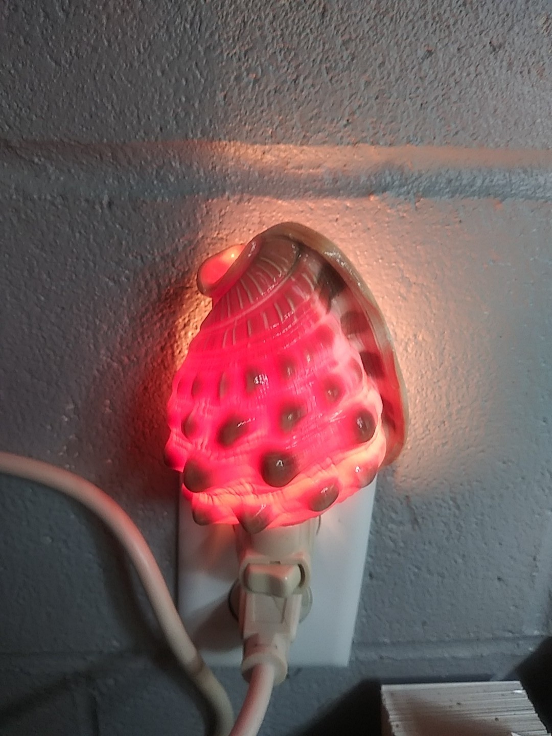 Seashell Nightlight Ships Fast
