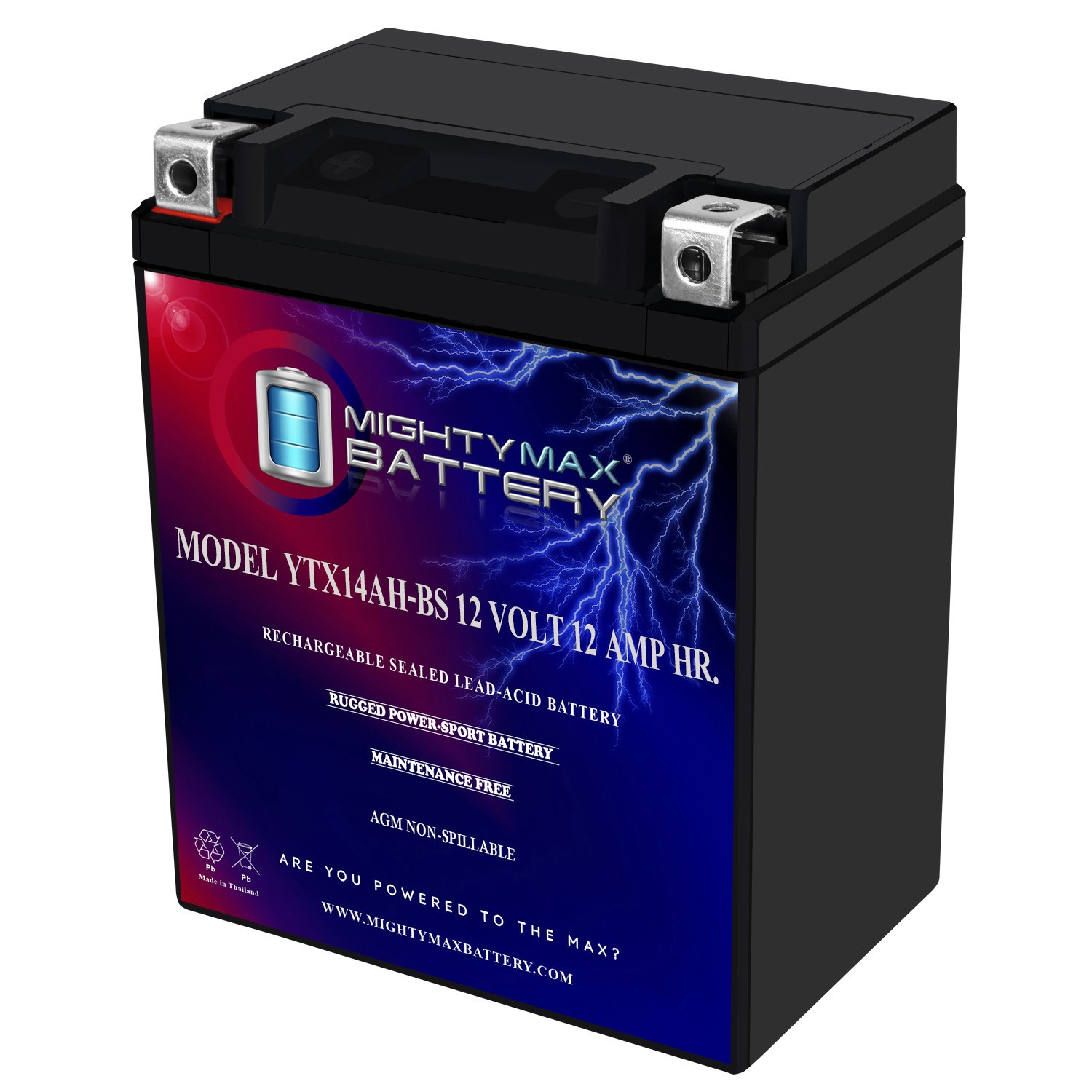 Mighty Max YTX14AH-BS 12V 12Ah Replacement Battery for Weize YTX14AH-BS