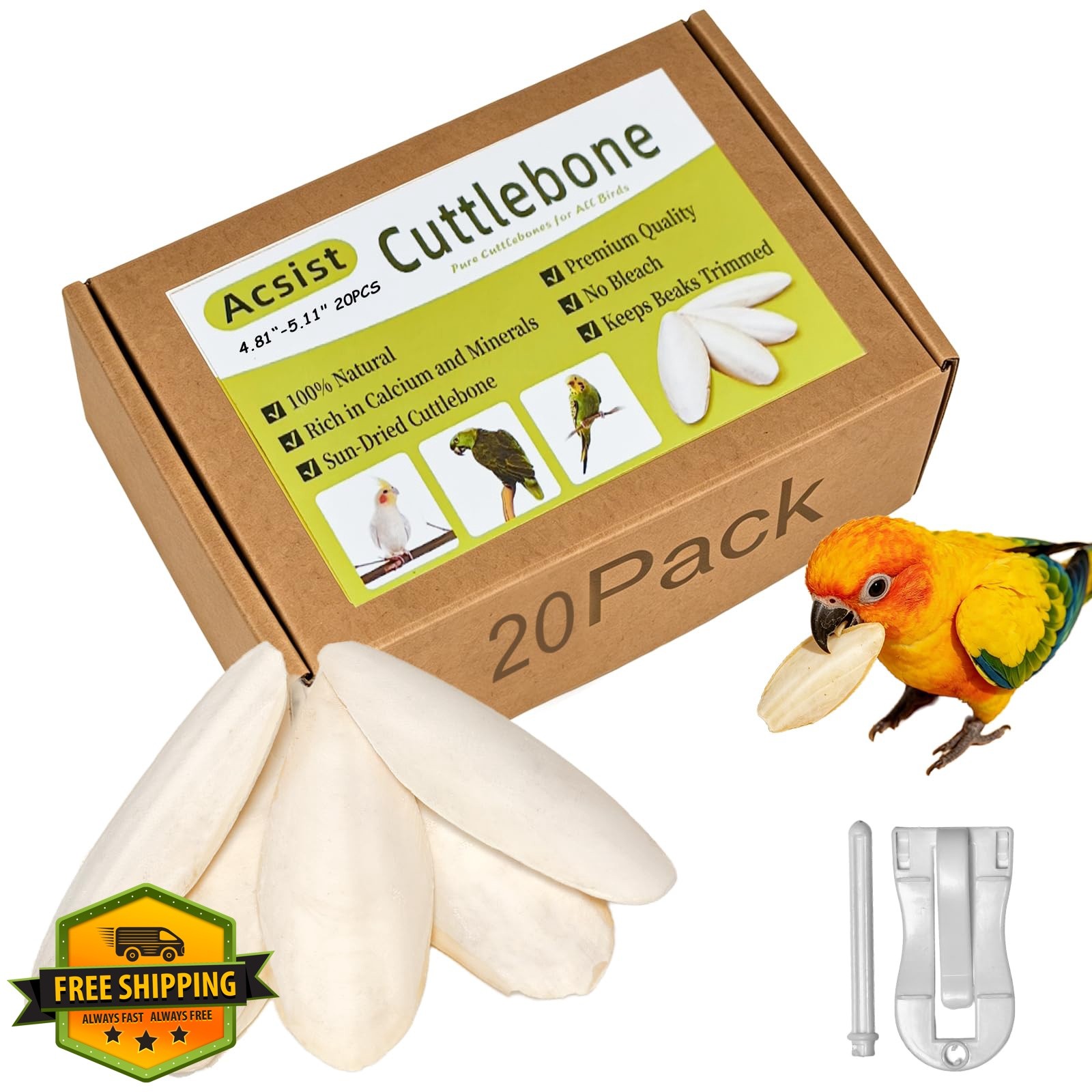 Acsist Cuttlebone 20 Pcs 4.8"-5.1"