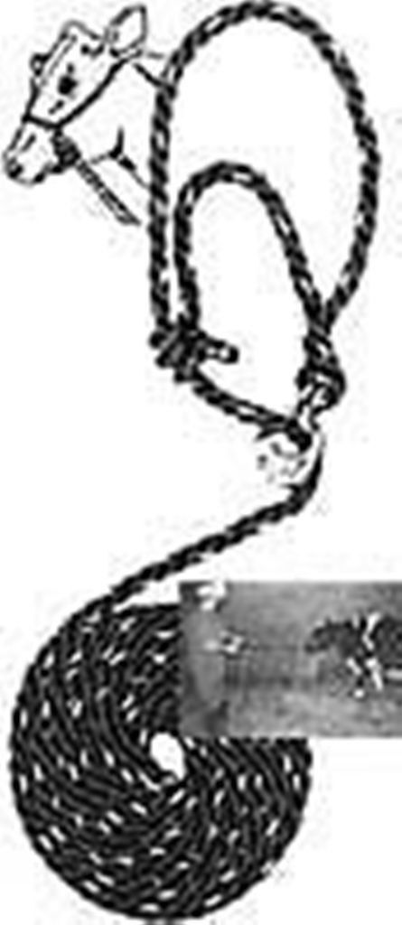 Rope Doctoring Halter-Vet Aid Quick Release Livestock Cattle