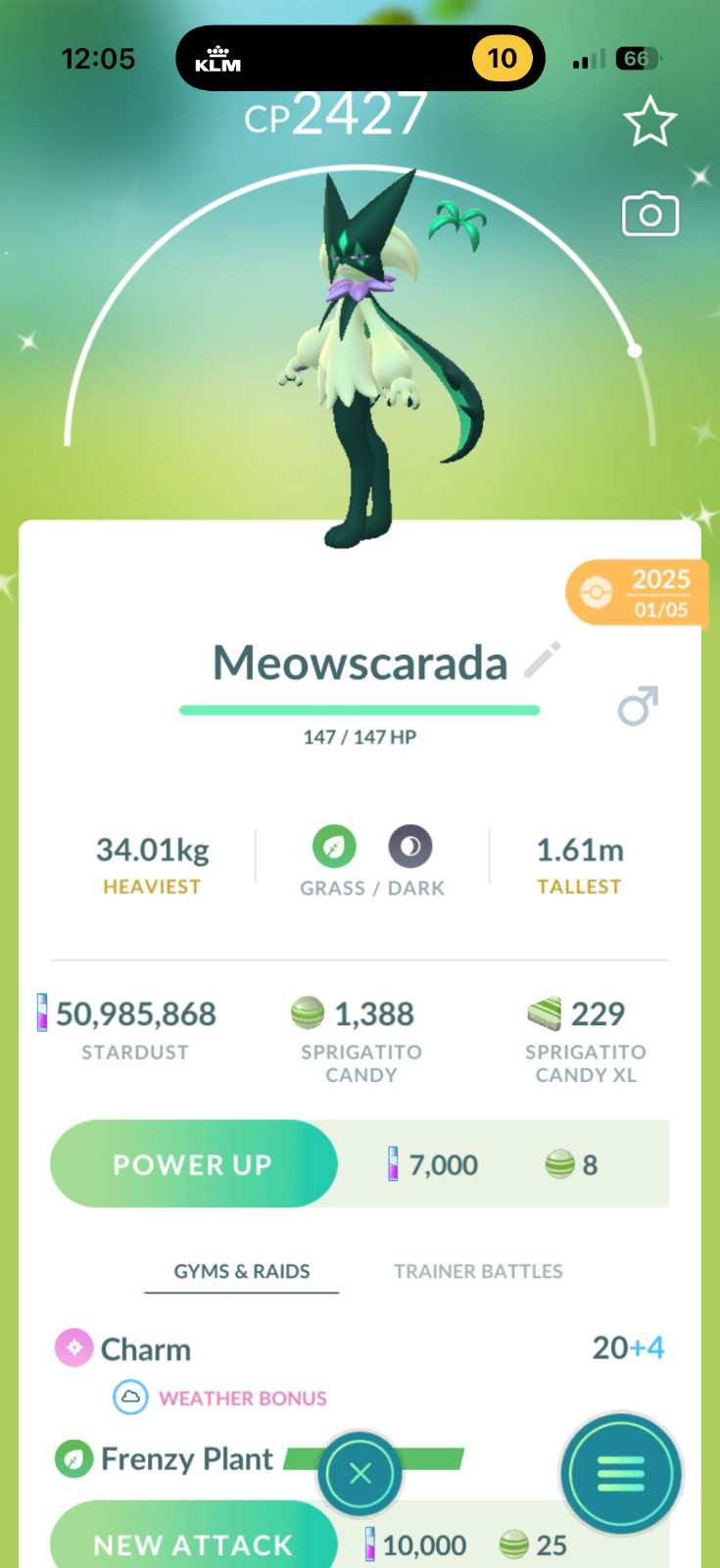 AMAZING!!! ✨ SHINY SPRIGATITO!!! ✨ - PKMN GO!!! - NOT REGISTERED!!!