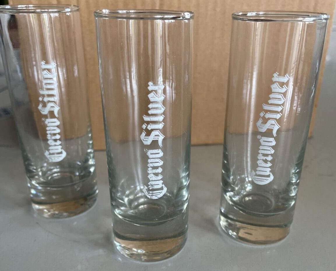Tequila Shot Glasses Cuervo Silver 4" Tall Set of 10! Heavy Bottom White Etching